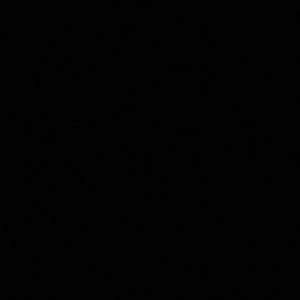 Meet your Posher, Ben